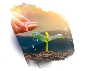 Agriculture into Next level